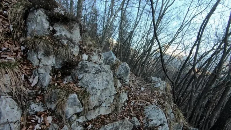 Croce e Cima di Valpiana – Sentiero – foto 10