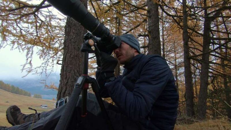 Come Fotografare gli Stambecchi