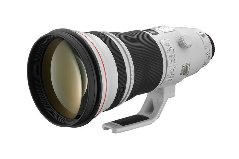Come Fotografare i Caprioli