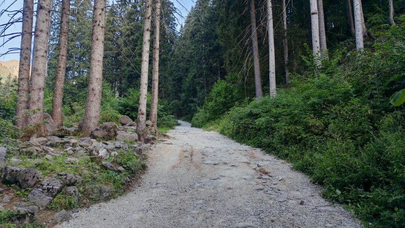 Rifugio Alpe Corte e lago Branchino da Valcanale – Sentiero – foto 3