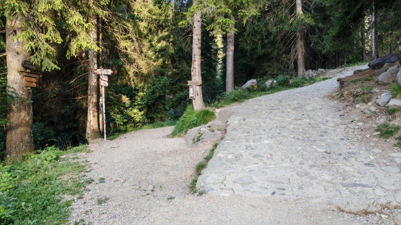 Rifugio Alpe Corte e lago Branchino da Valcanale – Sentiero – foto 9