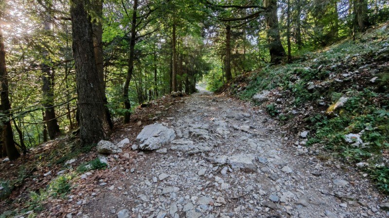 Rifugio Alpe Corte e lago Branchino da Valcanale – Salita verso il Lago Branchino – foto 9