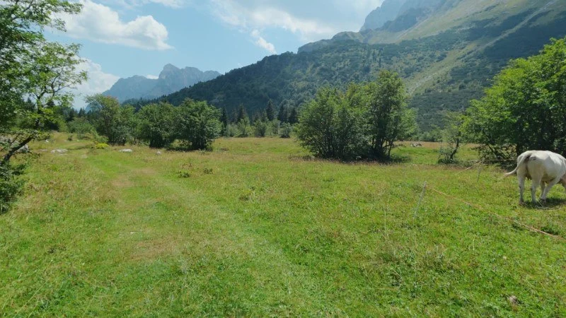 Rifugio Alpe Corte e lago Branchino da Valcanale – Discesa con anello – foto 4