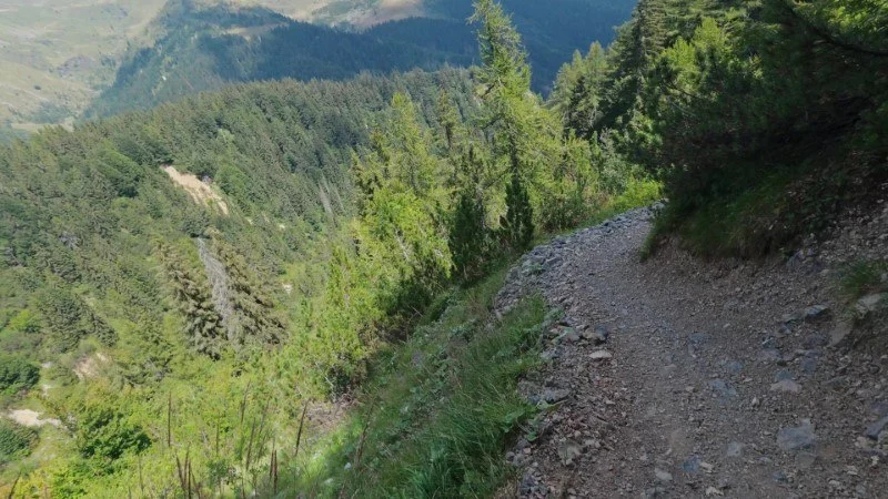 Rifugio Alpe Corte e lago Branchino da Valcanale – Discesa con anello – foto 11