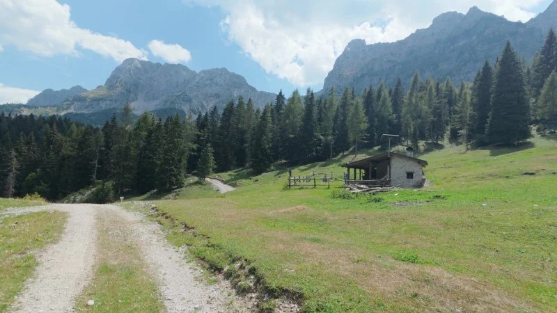 Rifugio Alpe Corte e lago Branchino da Valcanale – Discesa con anello – foto 20