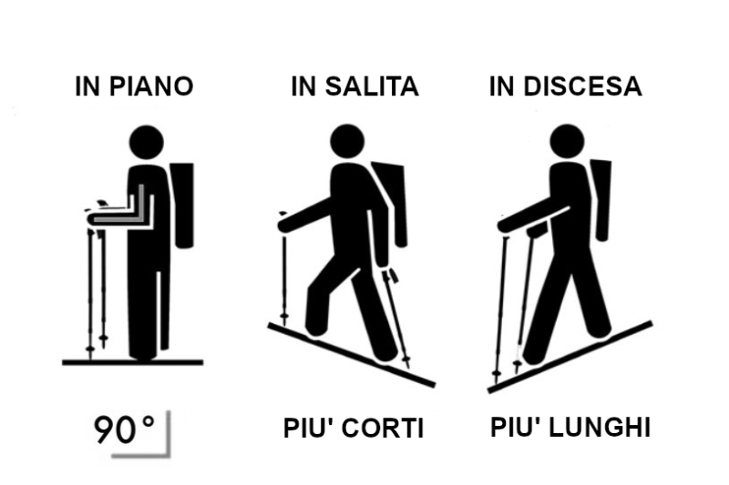 Bastoncini da Trekking: La guida completa