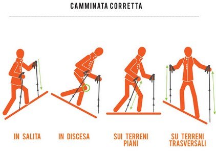 Bastoncini da Trekking: La guida completa