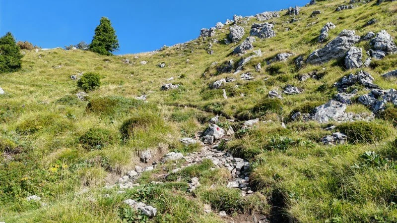 sentiero via normale monte venturosa