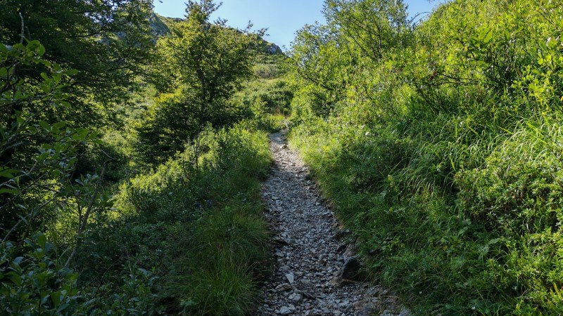 sentiero via normale monte venturosa