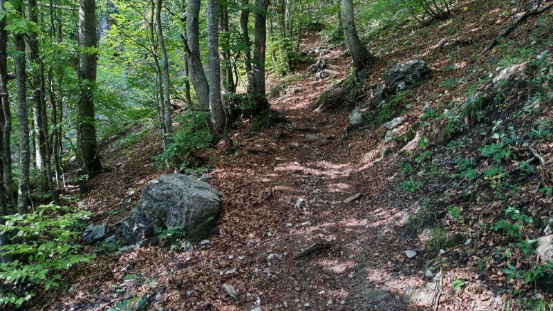 sentiero via normale monte venturosa