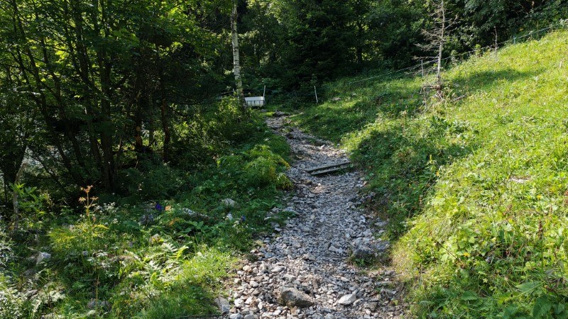 sentiero via normale monte venturosa