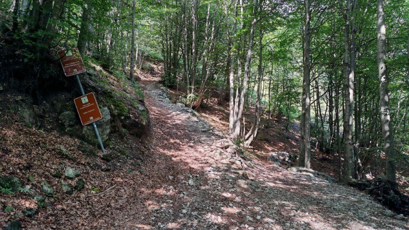 sentiero via normale monte venturosa