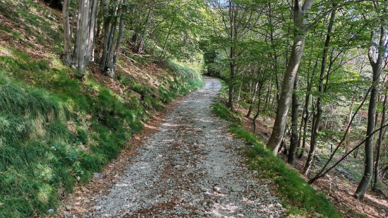 sentiero via normale monte venturosa