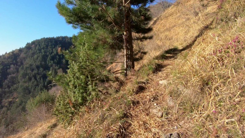 Monte Gioco da Lepreno