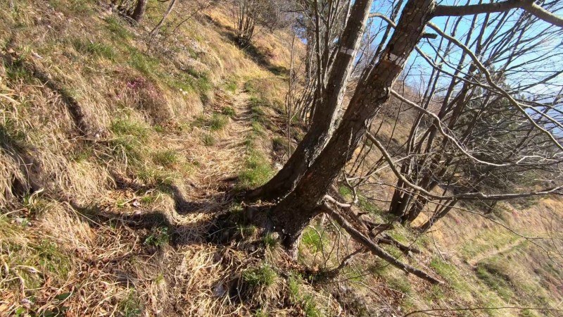 Monte Gioco da Lepreno