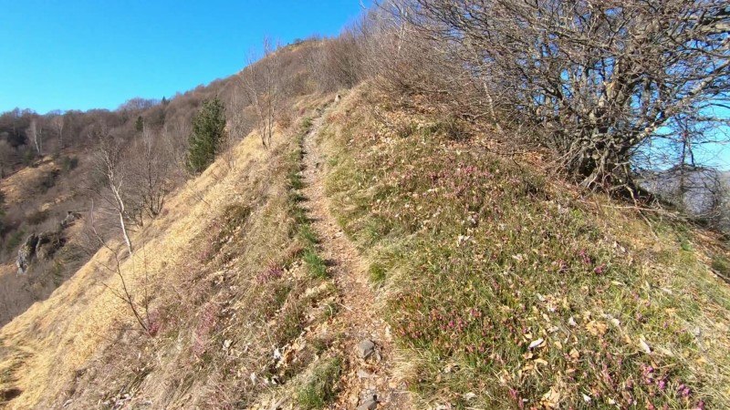 Monte Gioco da Lepreno