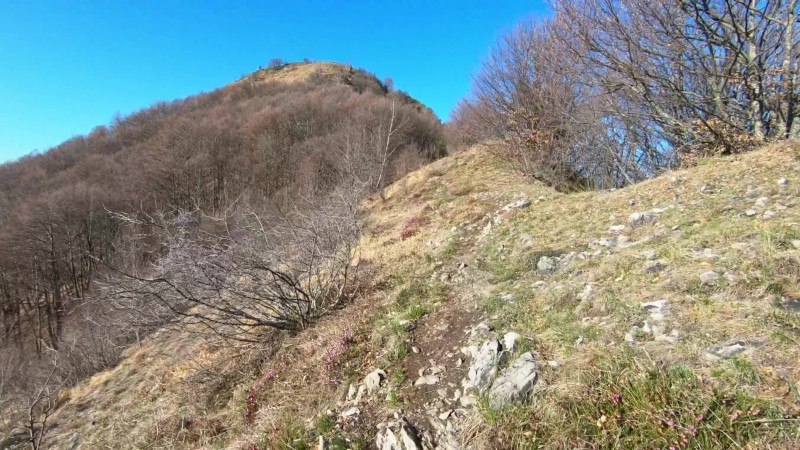Monte Gioco da Lepreno