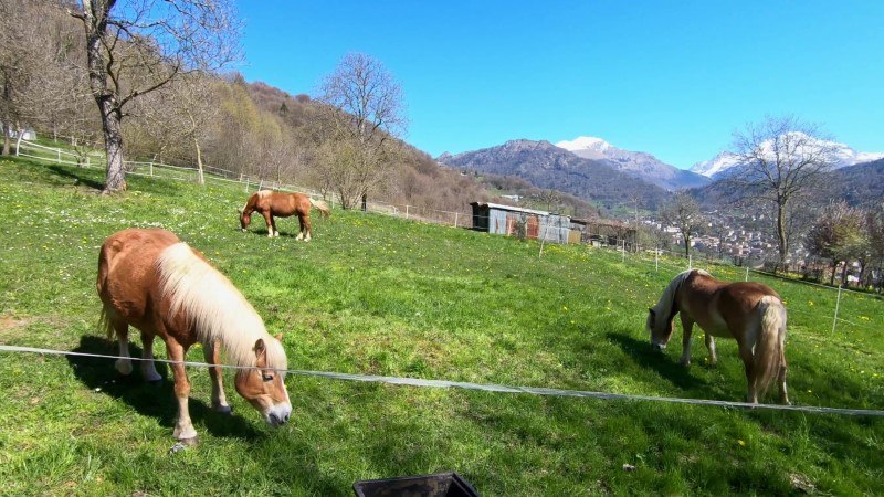 Monte Gioco da Lepreno