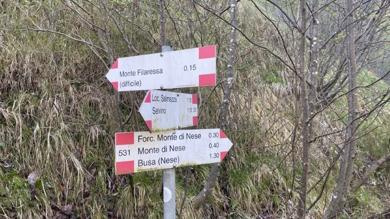 Monte Filaressa | Anello da Salmezza – Sentiero – foto 20