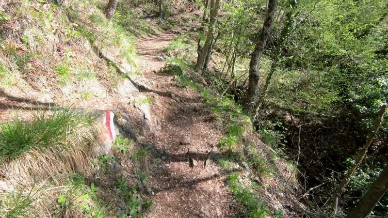 Monte Filaressa | Anello da Salmezza – Discesa con anello – foto 31