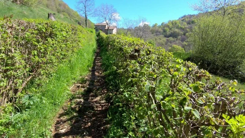 Monte Filaressa | Anello da Salmezza – Discesa con anello – foto 32