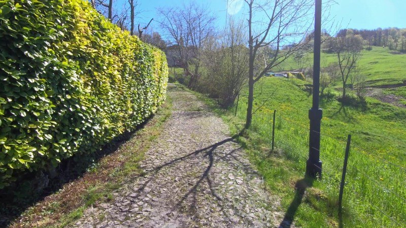 Monte Filaressa | Anello da Salmezza