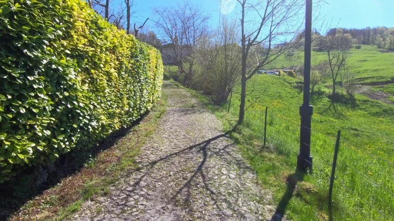 Monte Filaressa | Anello da Salmezza – Discesa con anello – foto 37