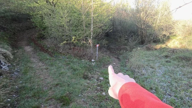 Monte Filaressa | Anello da Salmezza – Sentiero – foto 8