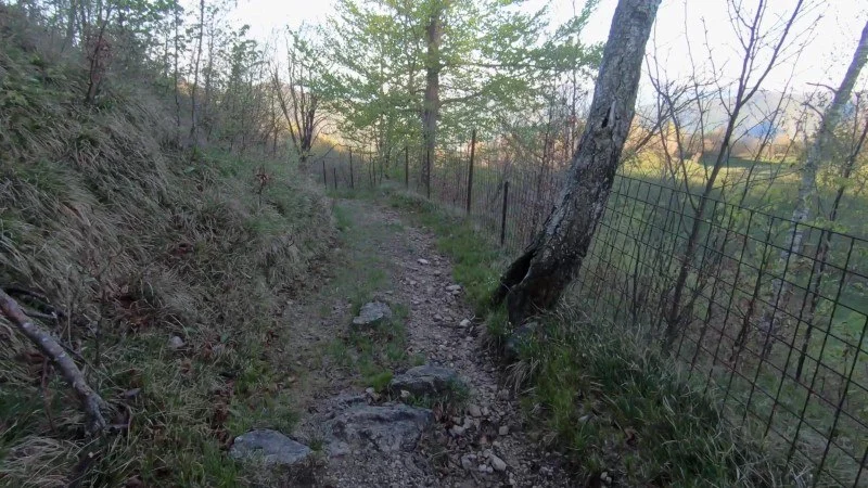 Monte Filaressa | Anello da Salmezza – Sentiero – foto 9