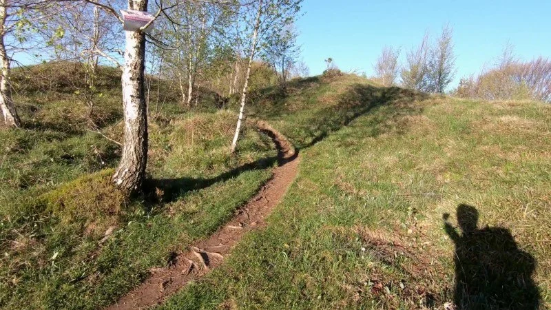 Monte Filaressa | Anello da Salmezza – Sentiero – foto 11