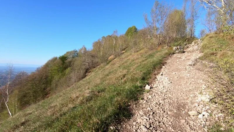 Monte Filaressa | Anello da Salmezza – Sentiero – foto 12
