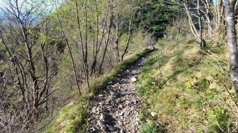 Monte Filaressa | Anello da Salmezza – Sentiero – foto 17