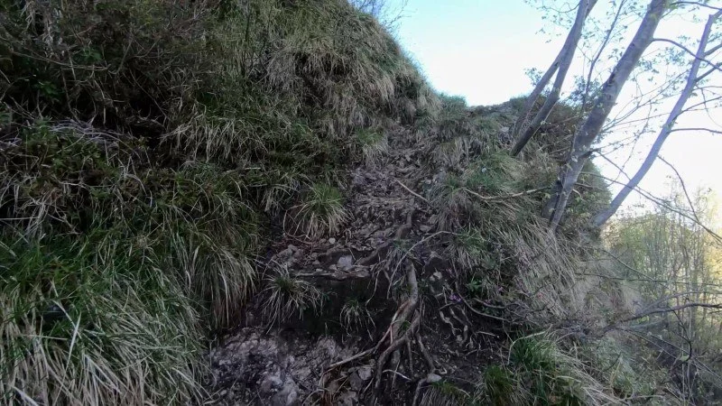 Monte Filaressa | Anello da Salmezza – Sentiero – foto 21