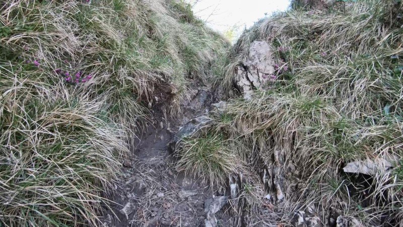 Monte Filaressa | Anello da Salmezza