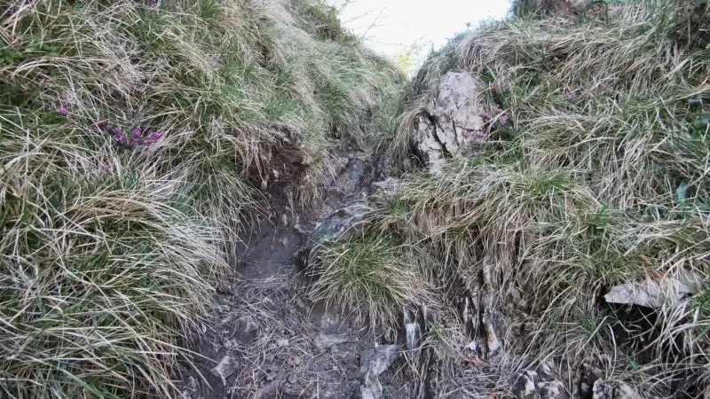 Monte Filaressa | Anello da Salmezza – Sentiero – foto 23