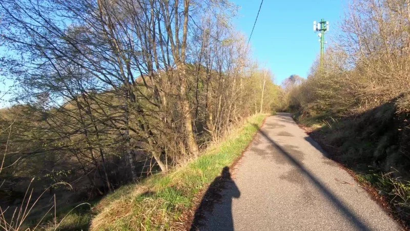 Monte Filaressa | Anello da Salmezza – Sentiero – foto 2