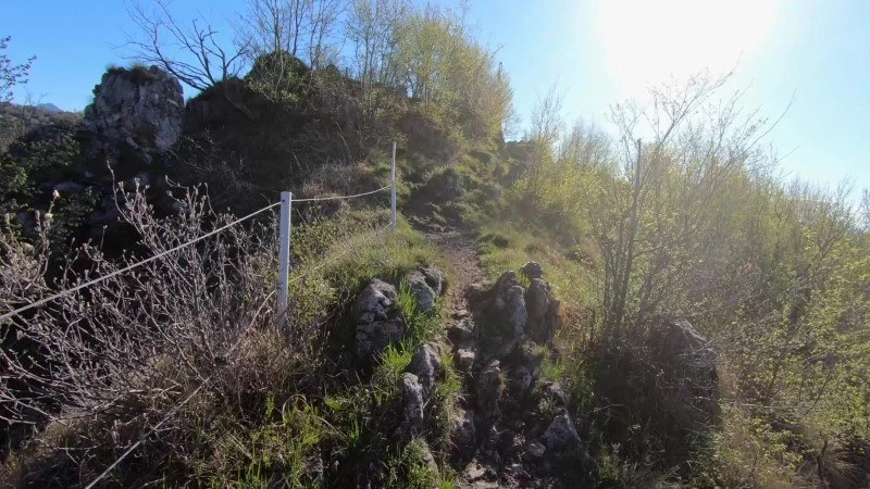 Monte Filaressa | Anello da Salmezza – Sentiero – foto 26