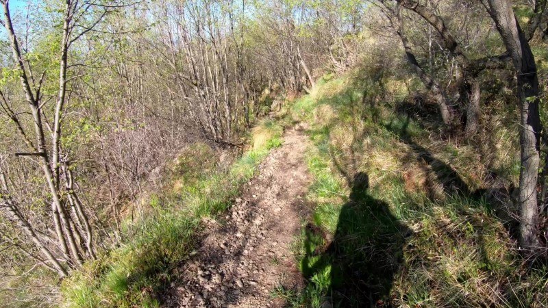 Monte Filaressa | Anello da Salmezza