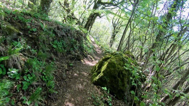 Monte Filaressa | Anello da Salmezza