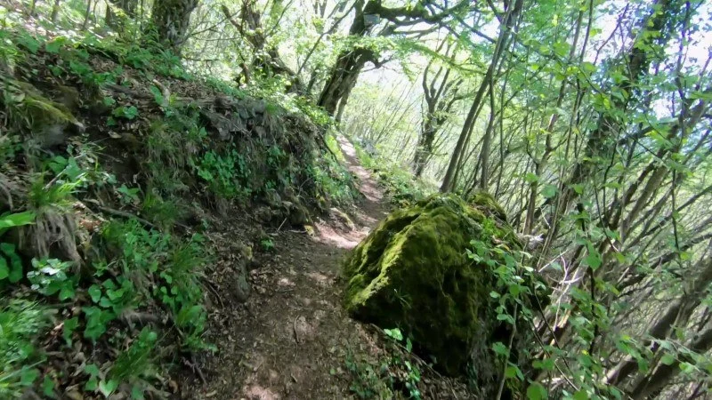 Monte Filaressa | Anello da Salmezza – Discesa con anello – foto 14