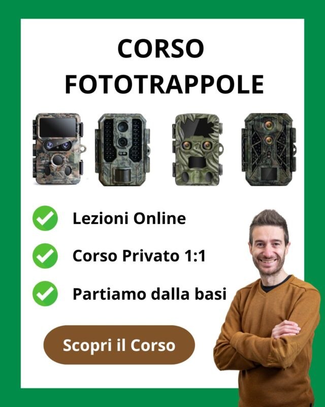 Schede di memoria SD per fototrappole