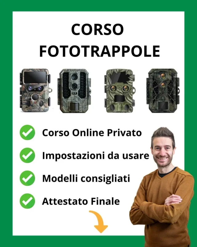 Fototrappole: sono legali? Scopri le leggi da seguire