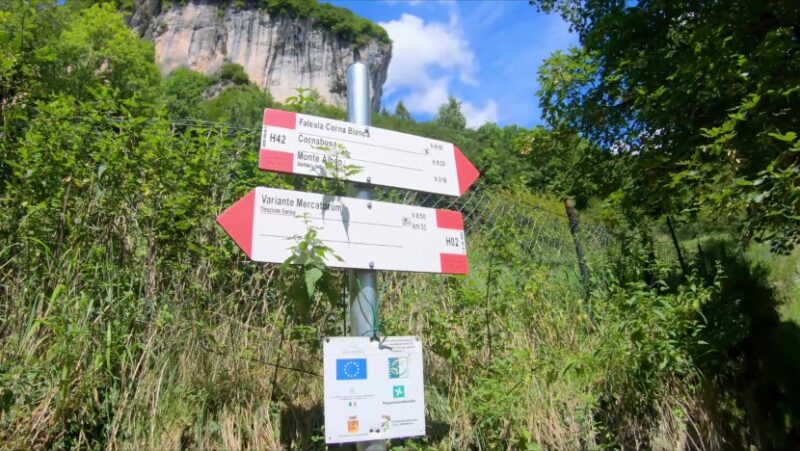 Cima Cornetti da Cornalba