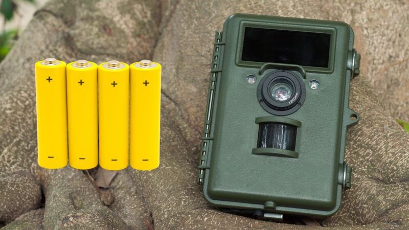 Migliori Batterie Ricaricabili per Fototrappole
