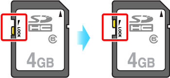 Problemi con la fototrappola? Ecco le soluzioni comuni