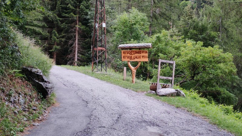 Rifugio Calvi da Carona – Sentiero – foto 3