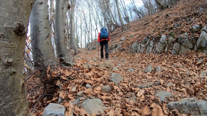 Monte Sparavera da Peia