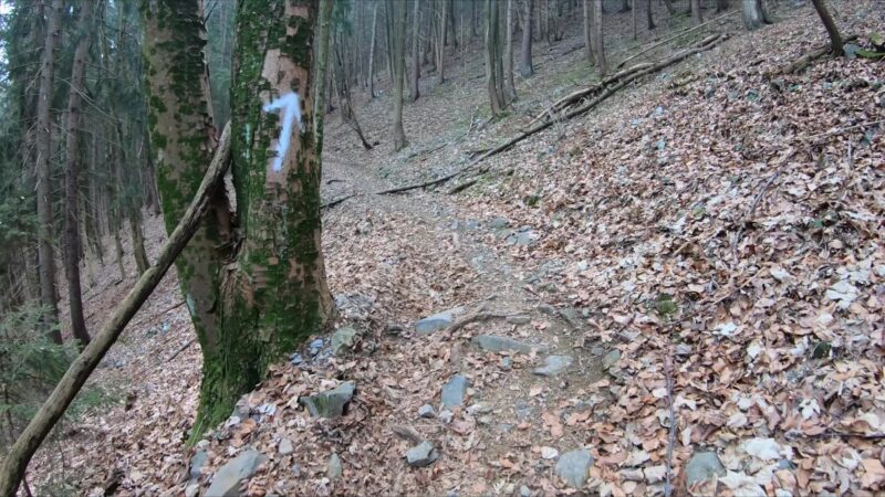 Monte Sparavera da Peia