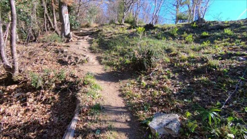 Monte Bronzone da Lerano
