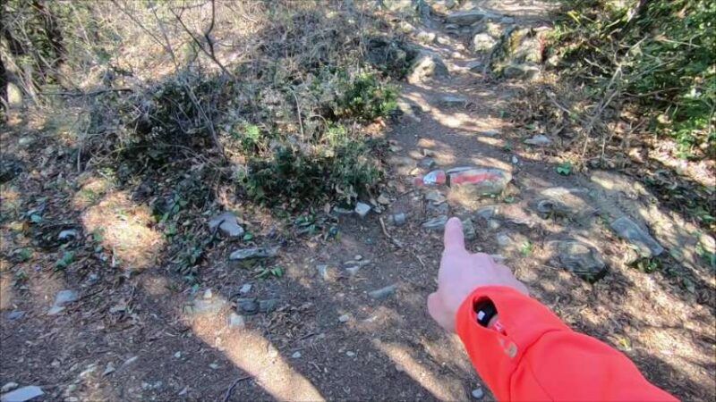 Monte Bronzone da Lerano